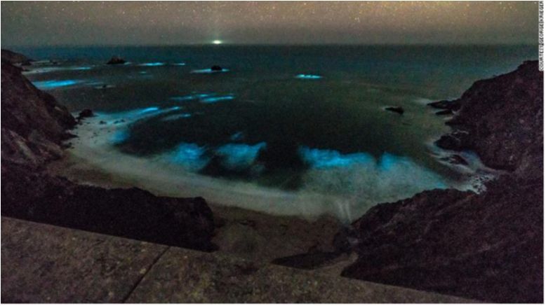 У США засяяв океан: дивовижні фото