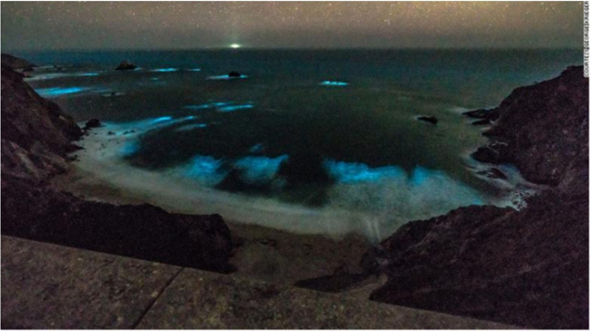 Невдовзі вітер може розсіяти планктон по хвилях - фото 1