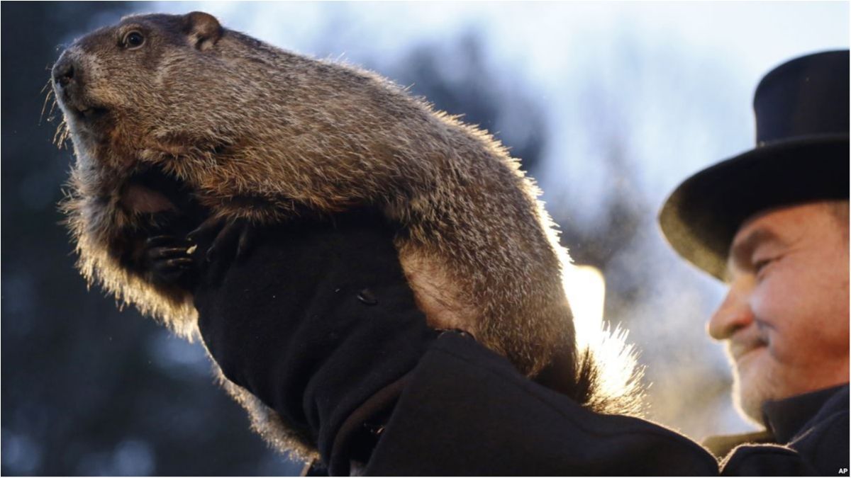 Тимко точний прогнозист і не тільки погодний - фото 1