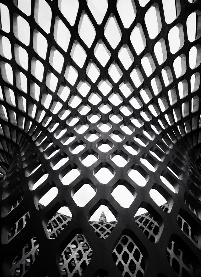 Названо найкращі мобільні фотографії 2017 року - фото 226887