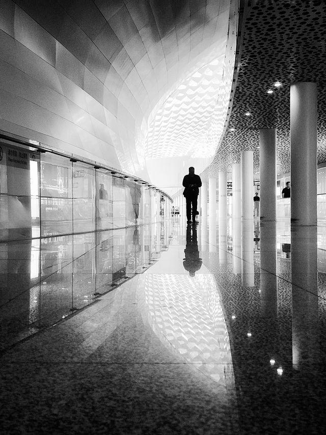 Названо найкращі мобільні фотографії 2017 року - фото 226888