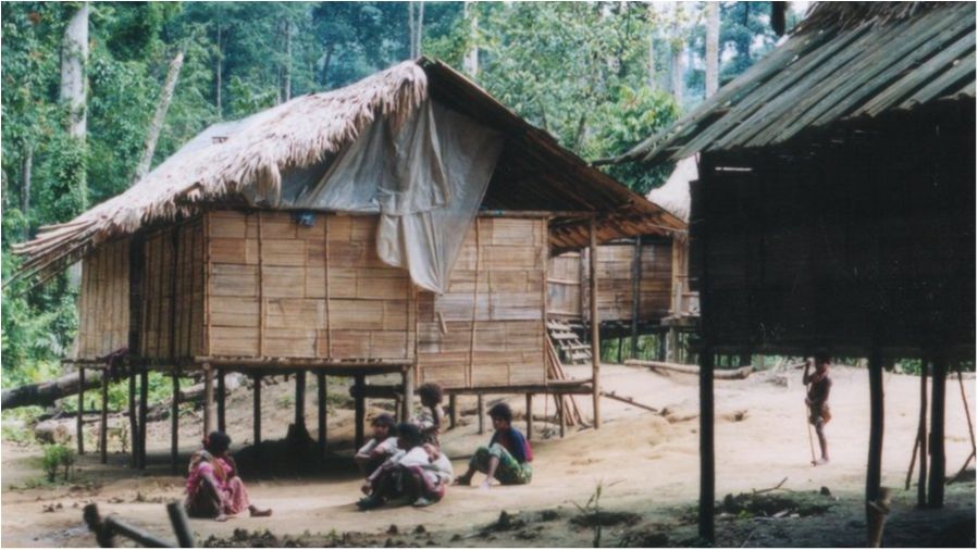 Вчені відкрили раніше невідому науці мову