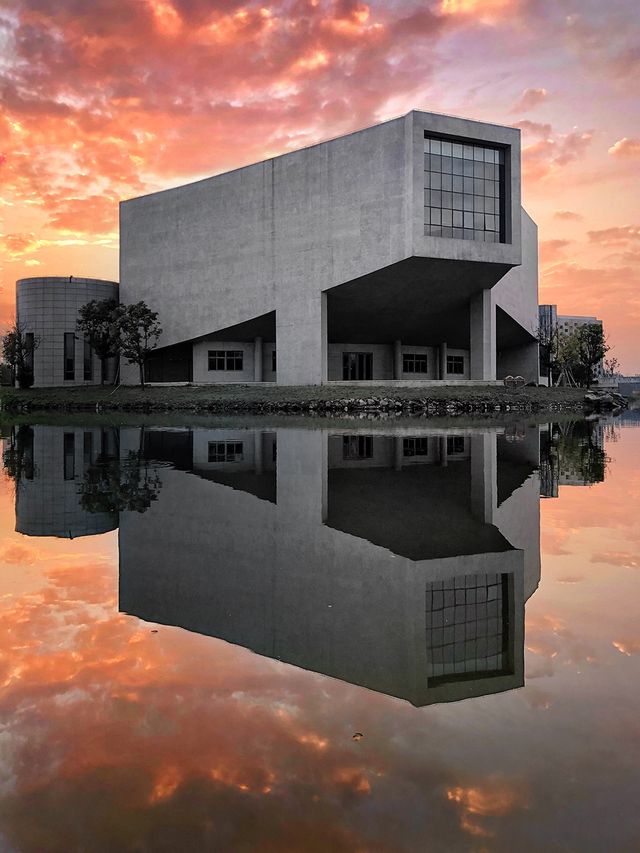 Названо найкращі мобільні фотографії 2017 року - фото 226884