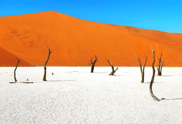 Названо найкращі мобільні фотографії 2017 року - фото 226893
