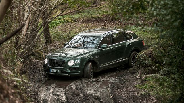Позашляховик Bentley Bentayga - фото 227363