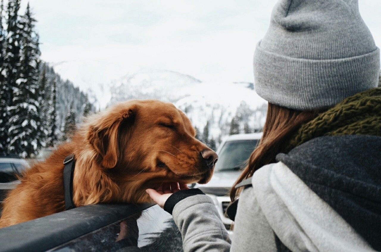 Яку погоду очікувати в Україні у перший день весни - фото 1