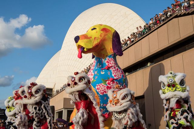 Китайський Новий рік 2018 - фото 228330