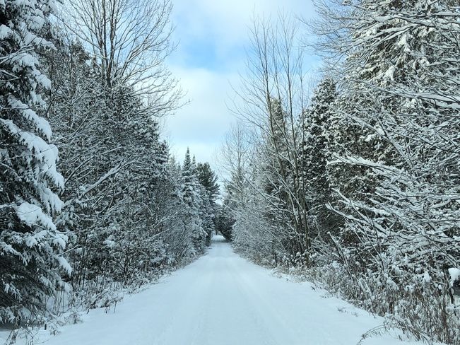 Іспанію засипало снігом: репортаж з мережі