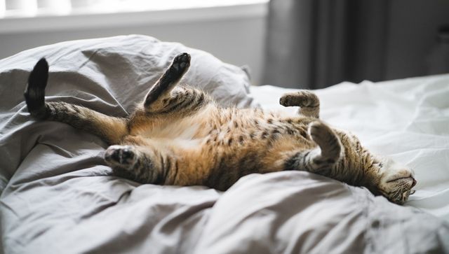  Не лінуйтеся - фото 230575