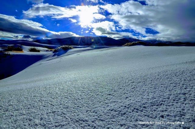 twitter.com/FADELZOUBIR - фото 225978