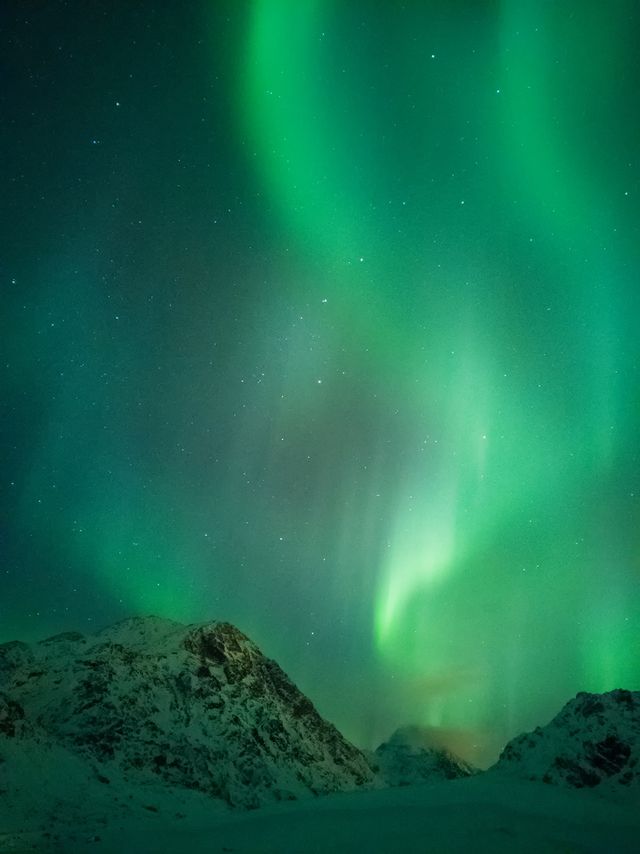 Названо найкращі мобільні фотографії 2017 року - фото 226895