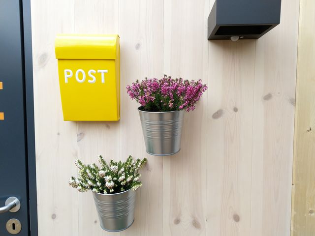 Камеру Nokia 8 Sirocco випробували в 'польових' умовах - фото 230558