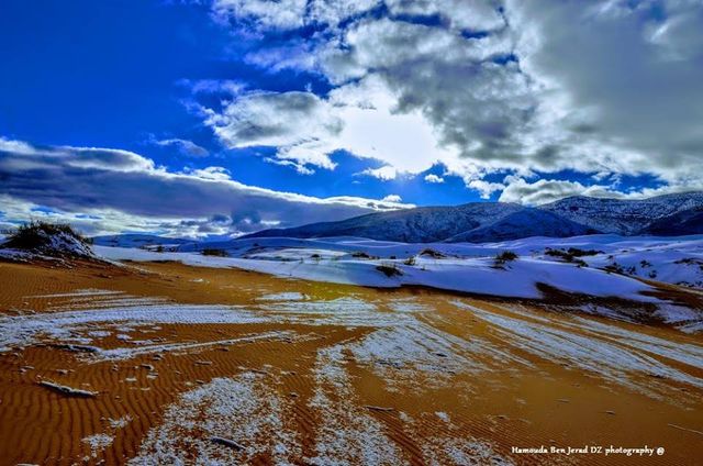 twitter.com/FADELZOUBIR - фото 225977