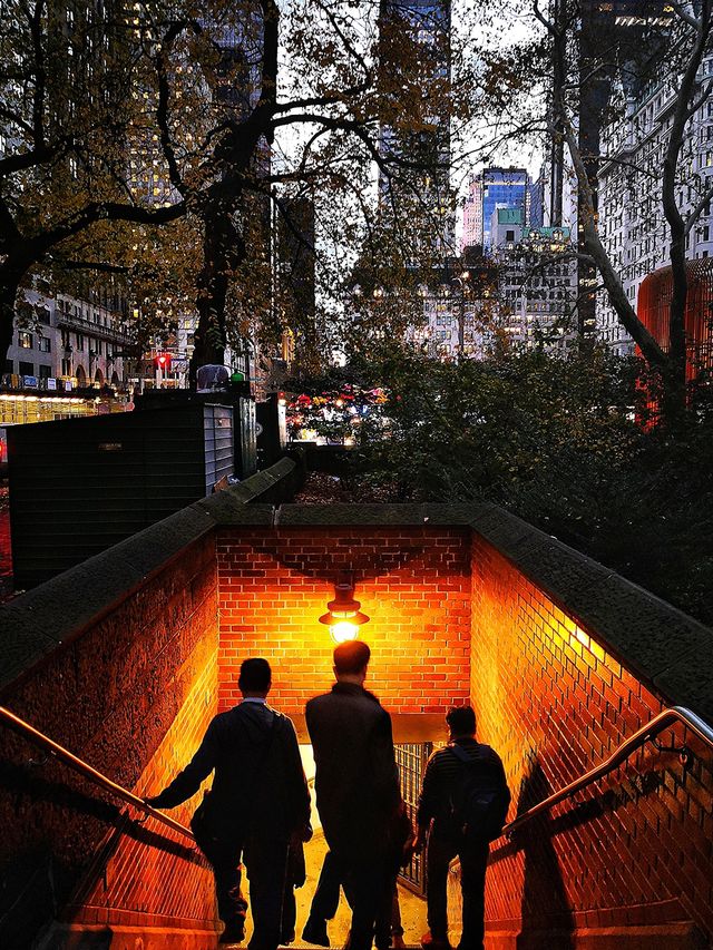 Названо найкращі мобільні фотографії 2017 року - фото 226891