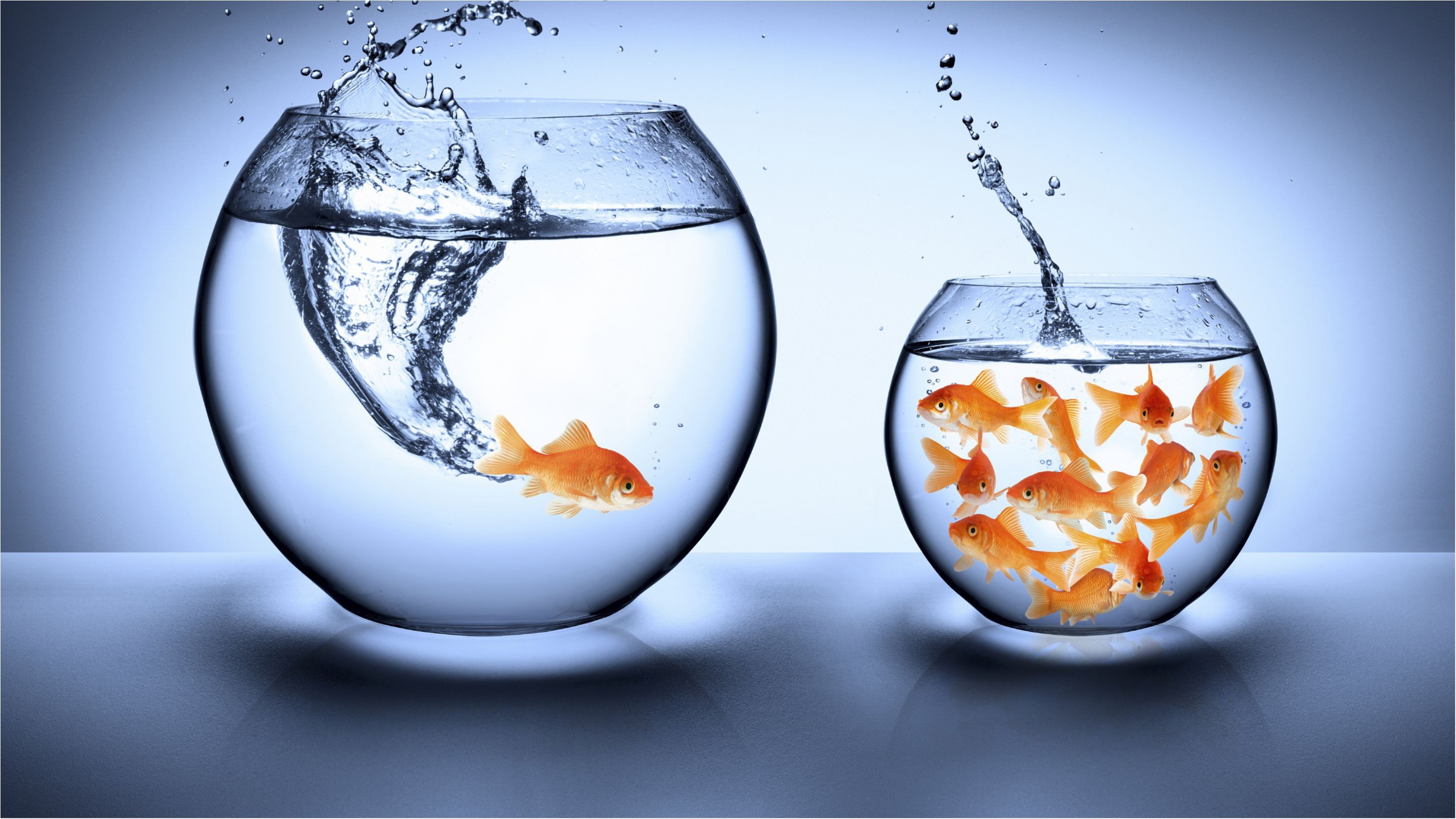 Чому комфорт негативно впливає на ваше життя - фото 1