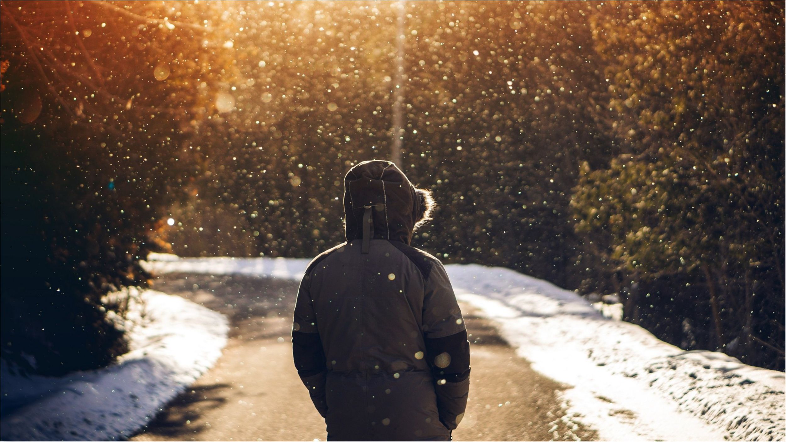 В Одесі найближчої доби опадів не буде - фото 1