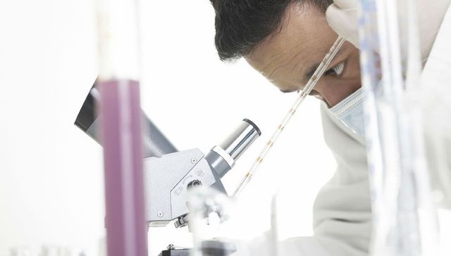 У США вівцю схрестили з людиною - фото 228931