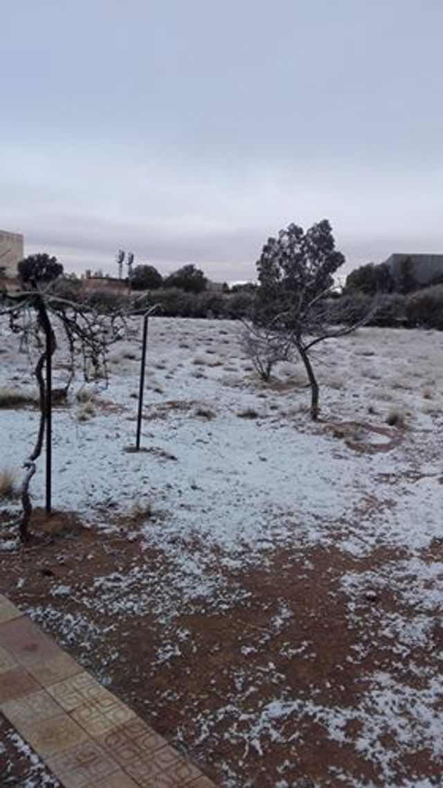 MétéoAlgérie‏- фото 225973