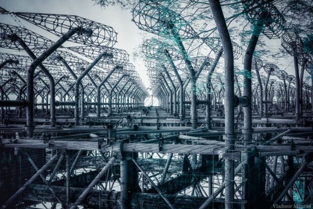 Як виглядає Чорнобиль взимку - фото 225184