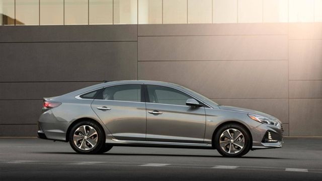 Оновлені гібриди Sonata - фото 226705