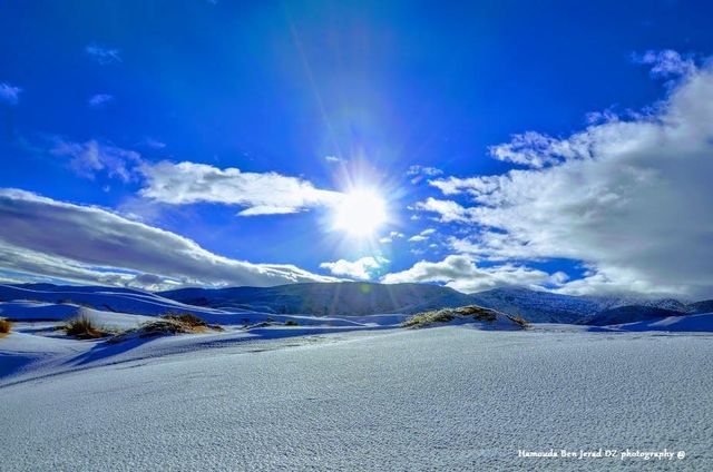 twitter.com/FADELZOUBIR - фото 225976