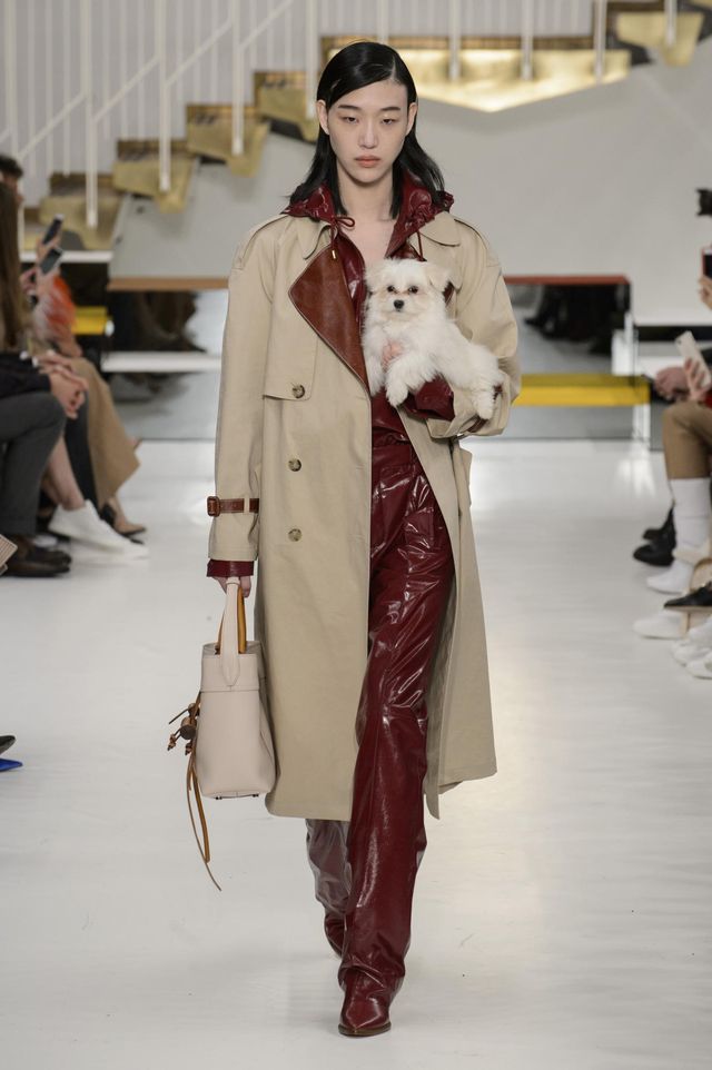 На показі Tod's моделі вийшли з цуценятами в руках - фото 229896