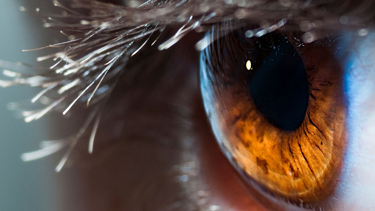 Google передбачає хвороби серця по сітківці ока - фото 1