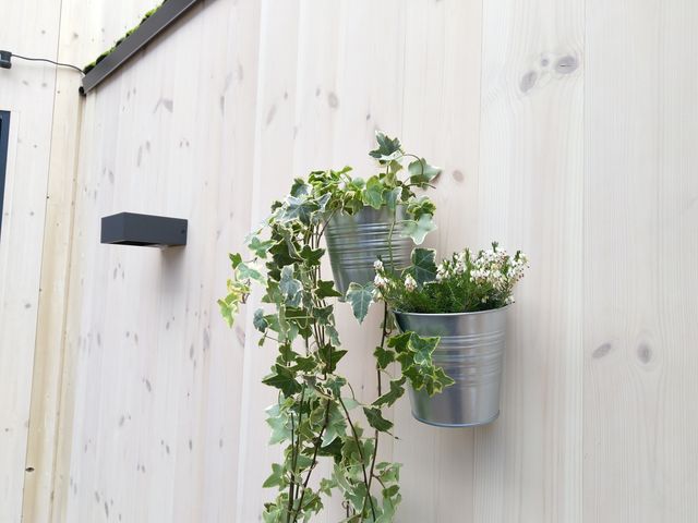 Камеру Nokia 8 Sirocco випробували в 'польових' умовах - фото 230557