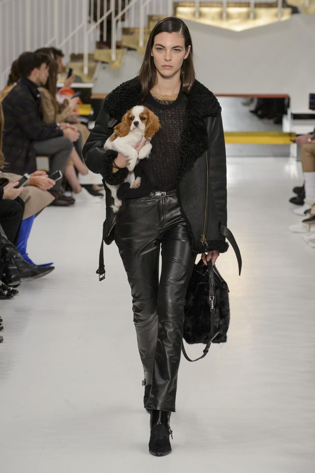 На показі Tod's моделі вийшли з цуценятами в руках - фото 229897
