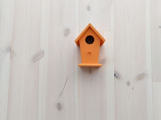 Камеру Nokia 8 Sirocco випробували в 'польових' умовах - фото 230555