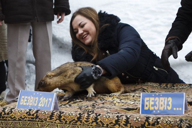 День бабака: що за свято і прикмети в цей день - фото 224936