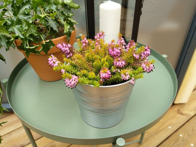 Камеру Nokia 8 Sirocco випробували в 'польових' умовах - фото 230556