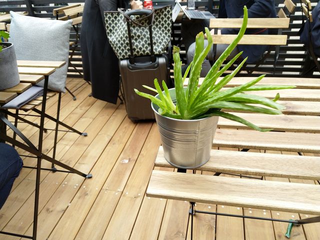 Камеру Nokia 8 Sirocco випробували в 'польових' умовах - фото 230559