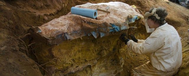 Науковці знайшли сліди динозаврів на стоянці NASA - фото 224789