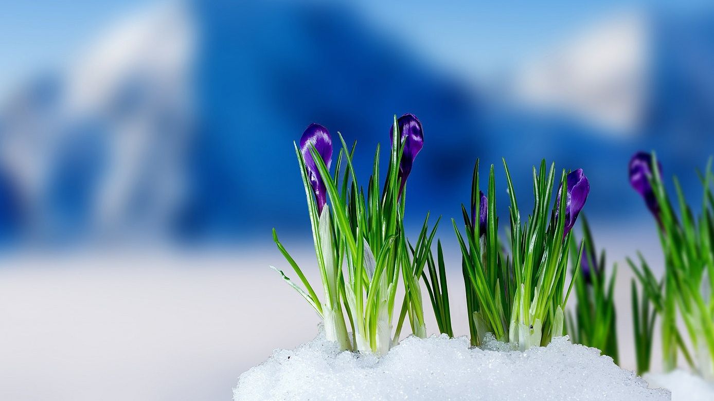 Синоптики знову прогнозують українцям сніг