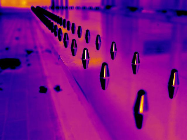 Фотограф робить незвичайні фото безхатченків, які вас вразять - фото 230904