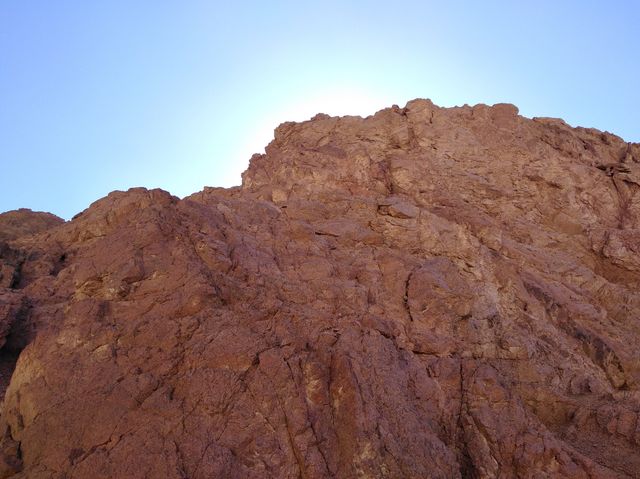 Сафарі - фото 233535