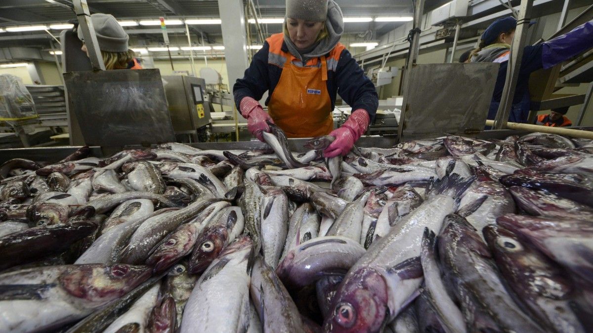Підприємства перевірятимуть залежно від ступеню ризику для життя - фото 1