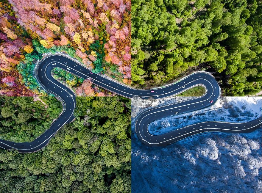 Незвичайні дороги Трансільванії, від яких перехоплює дух - фото 1