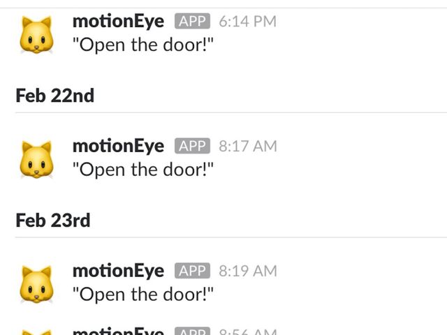 Інженер розробив систему дистанційного відкривання дверей для кота - фото 230890