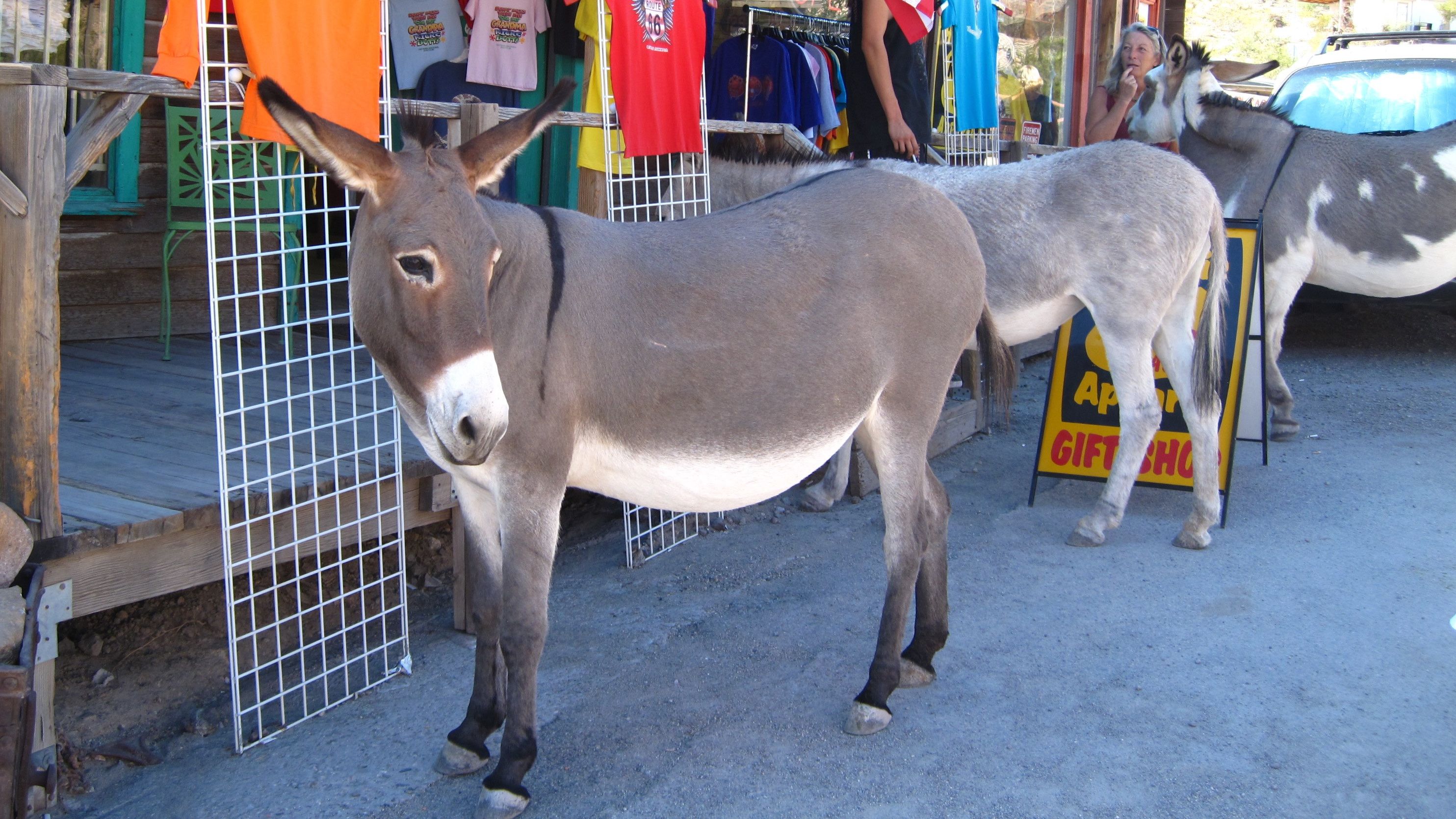 Це місто-привид зберігає історію Дикого Заходу