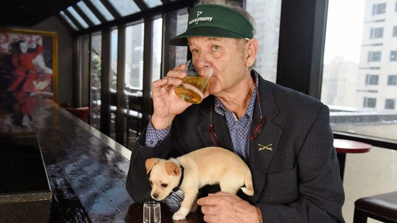 Актори з "Острова собак" знялися у фотосесії з цуценятами