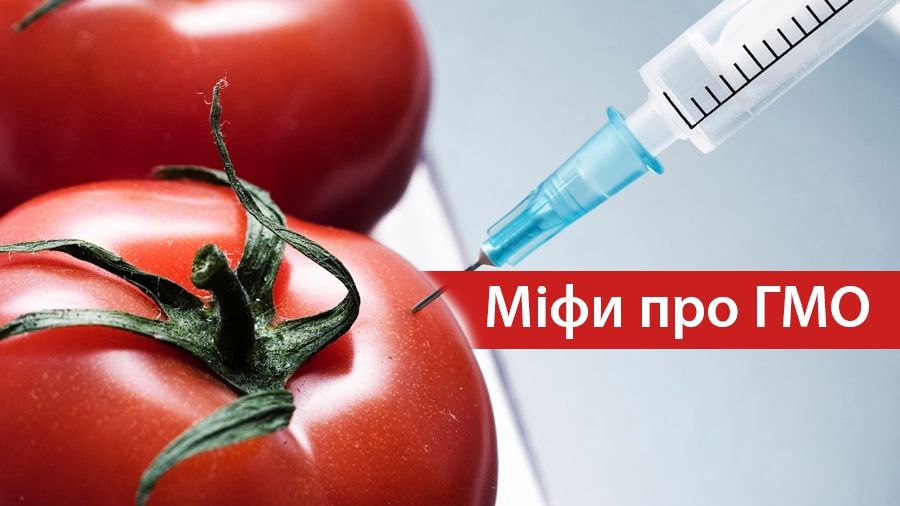 Популярні міфи про ГМО, у які соромно вірити