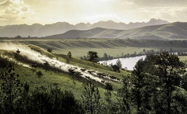 У Лос-Анджелесі один фотограф зухвало скопіював роботи іншого - фото 231753