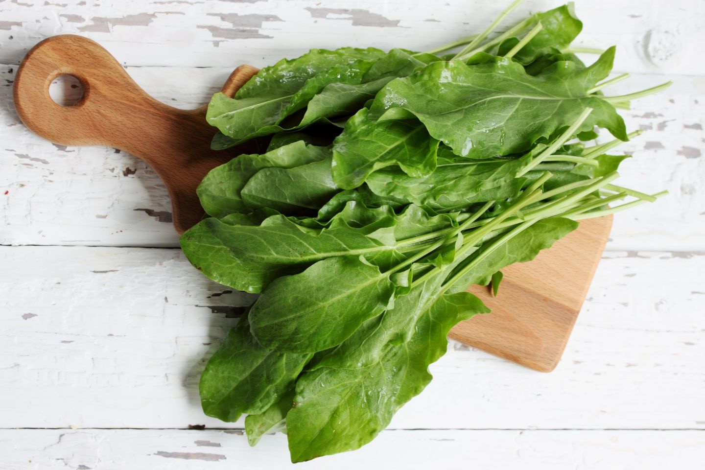 Медики розповіли, чому потрібно вживати щавель