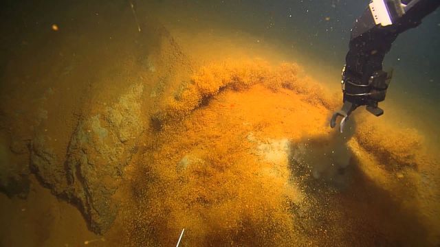 Вчені зробили цікаве відкриття про підводний вулкан- фото 234321