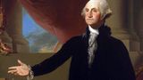 Буревій в США зламав 227-річне дерево, яке посадив Джордж Вашингтон: фотофакт