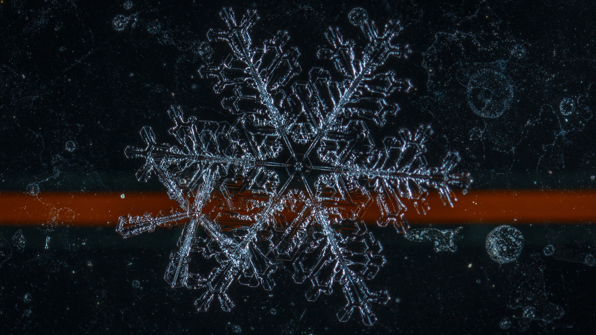 У NASA створили 3D-модель сніжинки, яка тане: відеофакт - фото 1