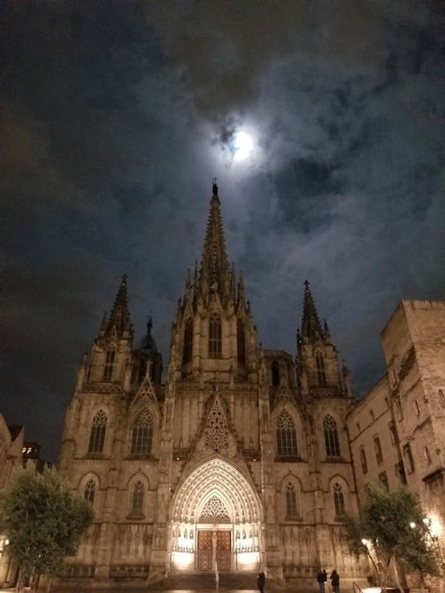 Чия камера краща: Samsung Galaxy S9 Plus проти S8, Note8 та S7 Edge - фото 235476