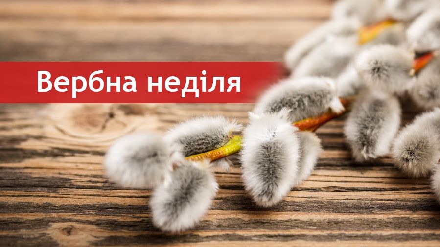 Вітання з Вербною неділею! - фото 1